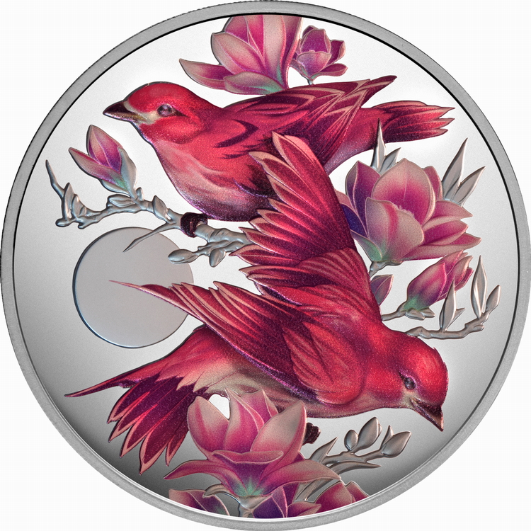 Niue_2026_Birds_of_Beauty_1_Purple_Finch_and_Magnolia_Blossoms_$1_1_Oz_Silver_Proof_with_Color_Mintage_650